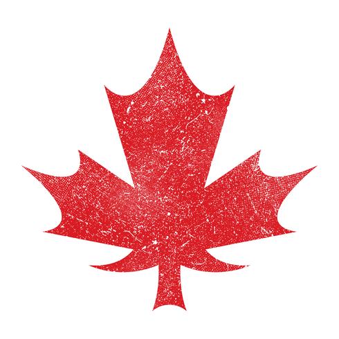 Autumn Maple Leaf vector logo