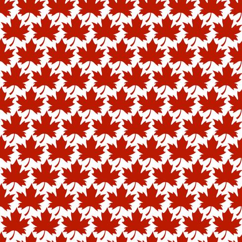 Autumn Maple Leaf vector logo