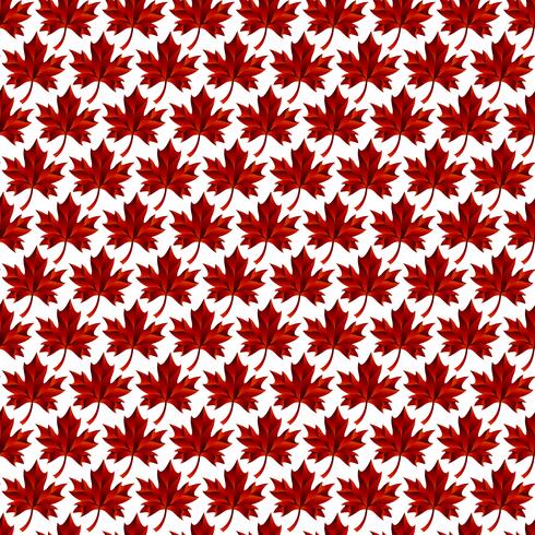 Autumn Maple Leaf vector logo