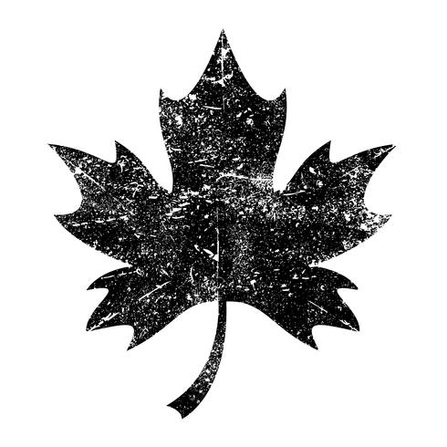 Autumn Maple Leaf vector logo