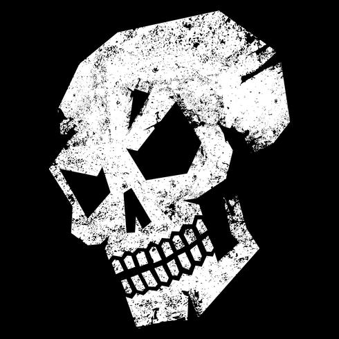 Skull graphic vector