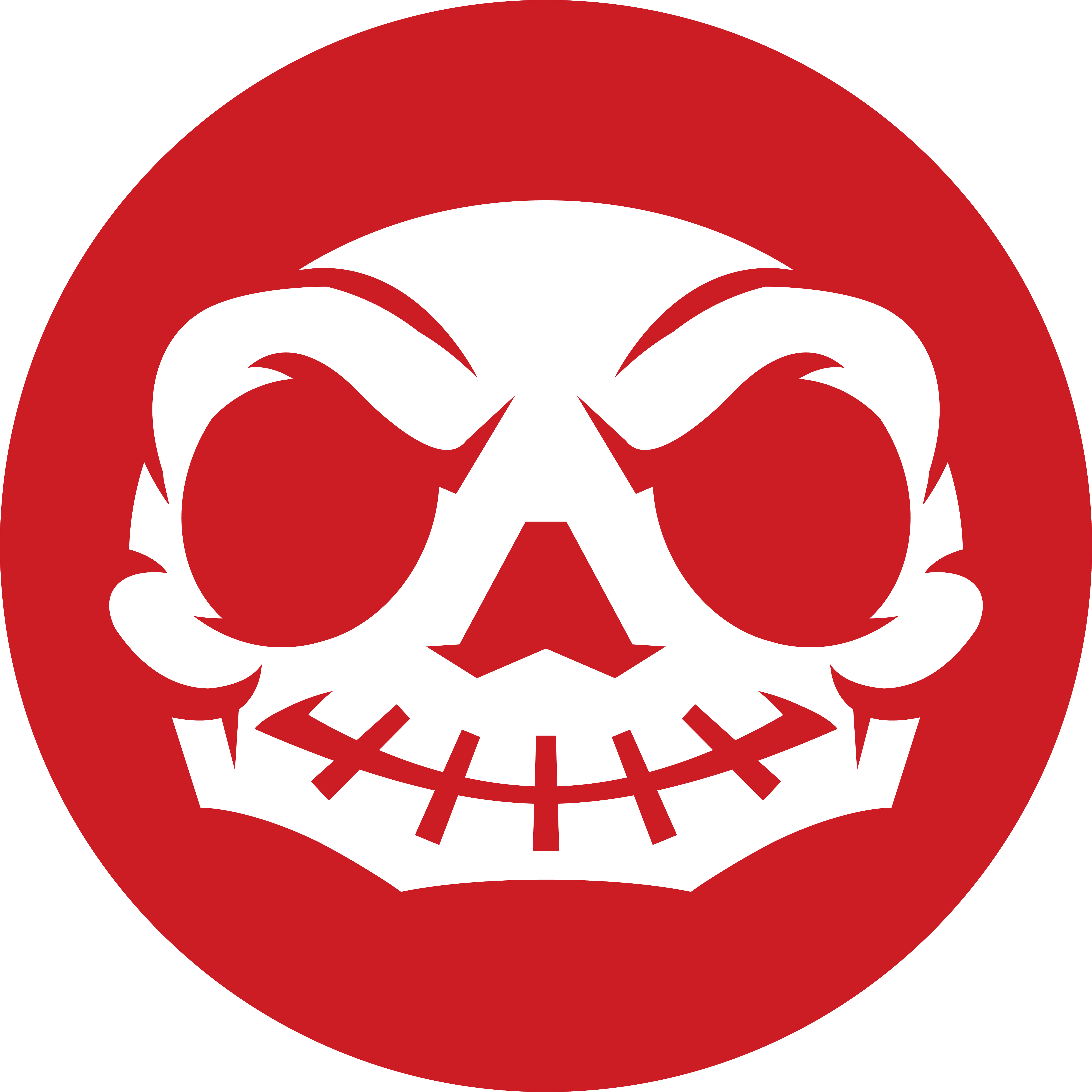 free download skull structure free download skull structure