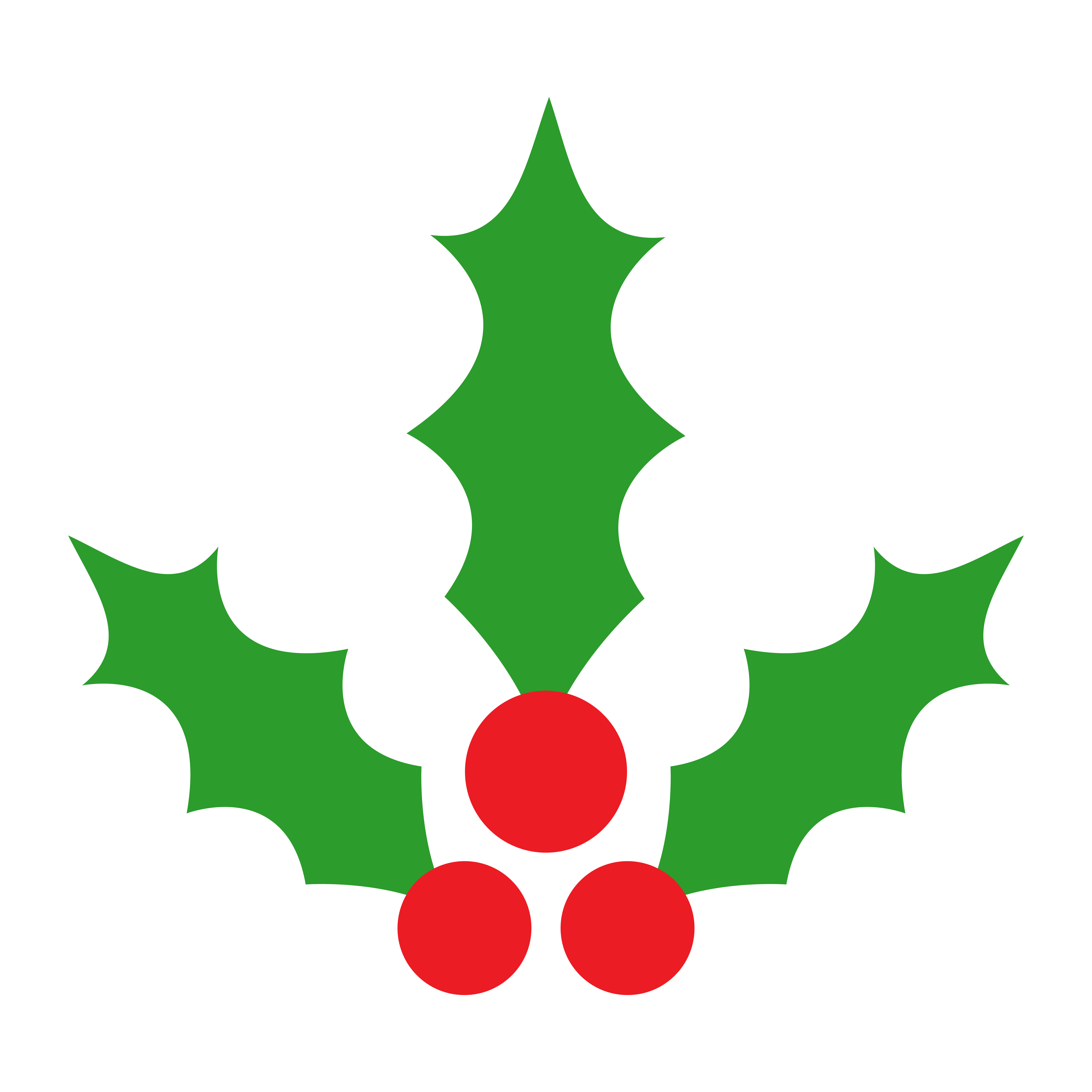 Download Christmas Holiday Mistletoe with Red Berries and Green ...