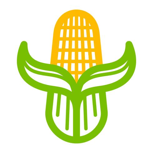 Corn vector