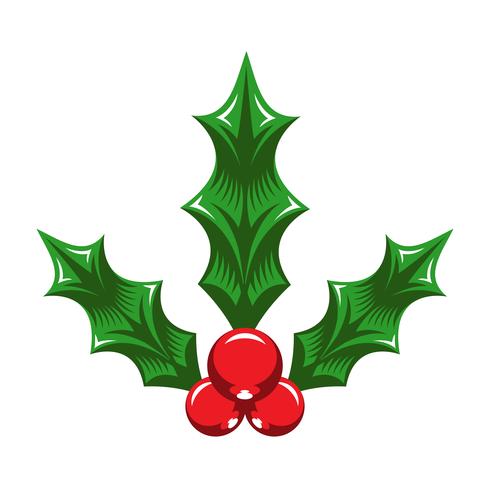 Christmas Holiday Mistletoe with Red Berries and Green Leaves vector