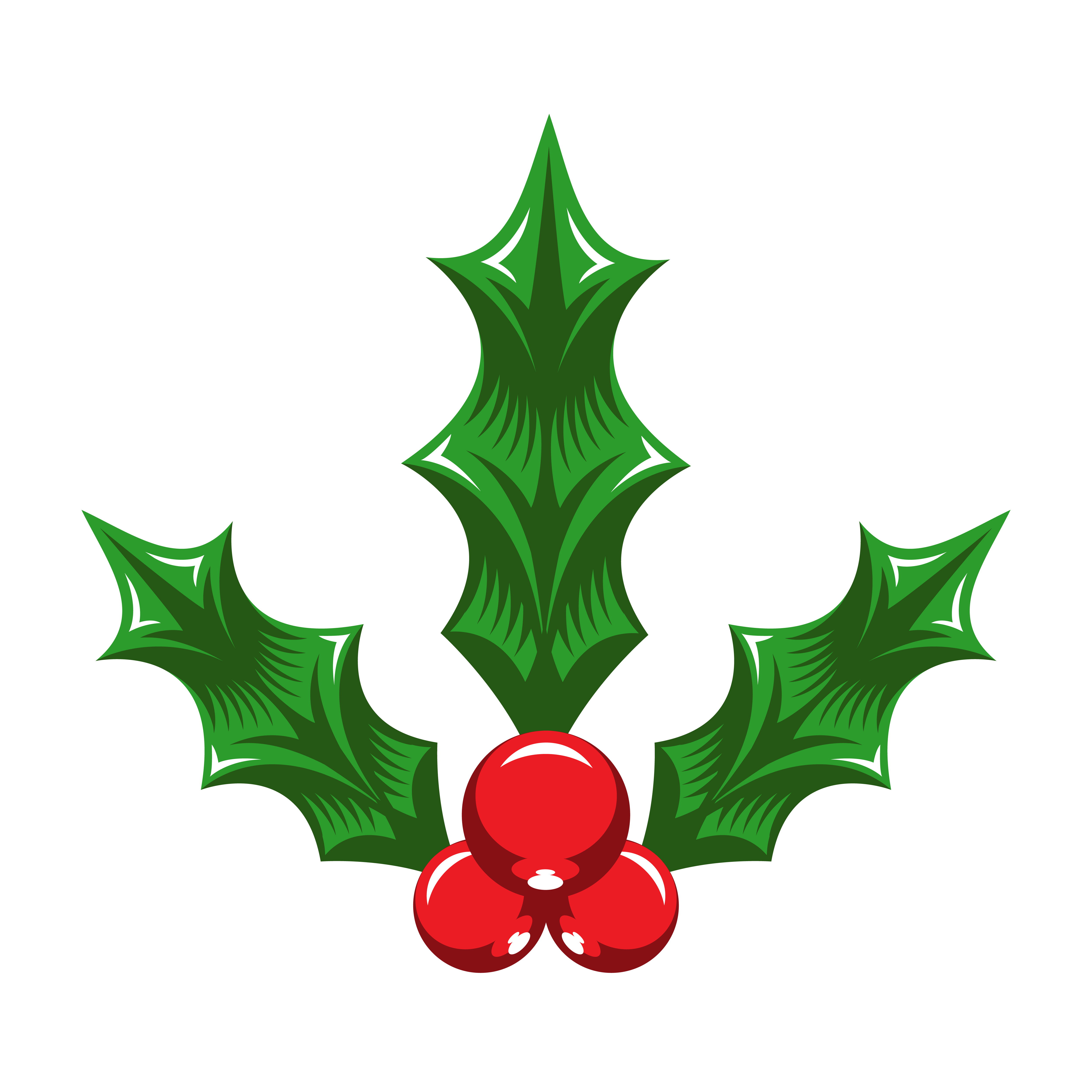 Download Christmas Holiday Mistletoe with Red Berries and Green ...