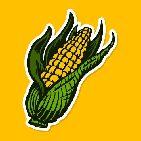 Corn vector