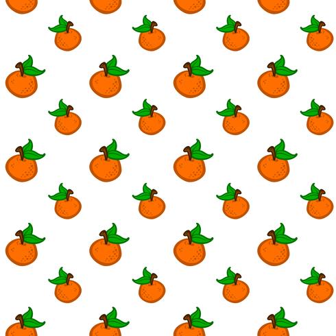 Orange fruit illustration vector