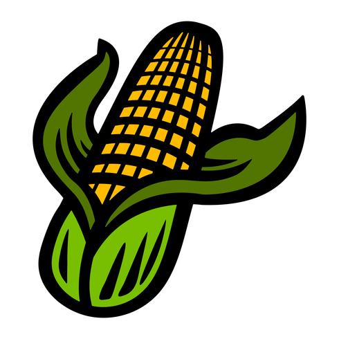 Corn vector