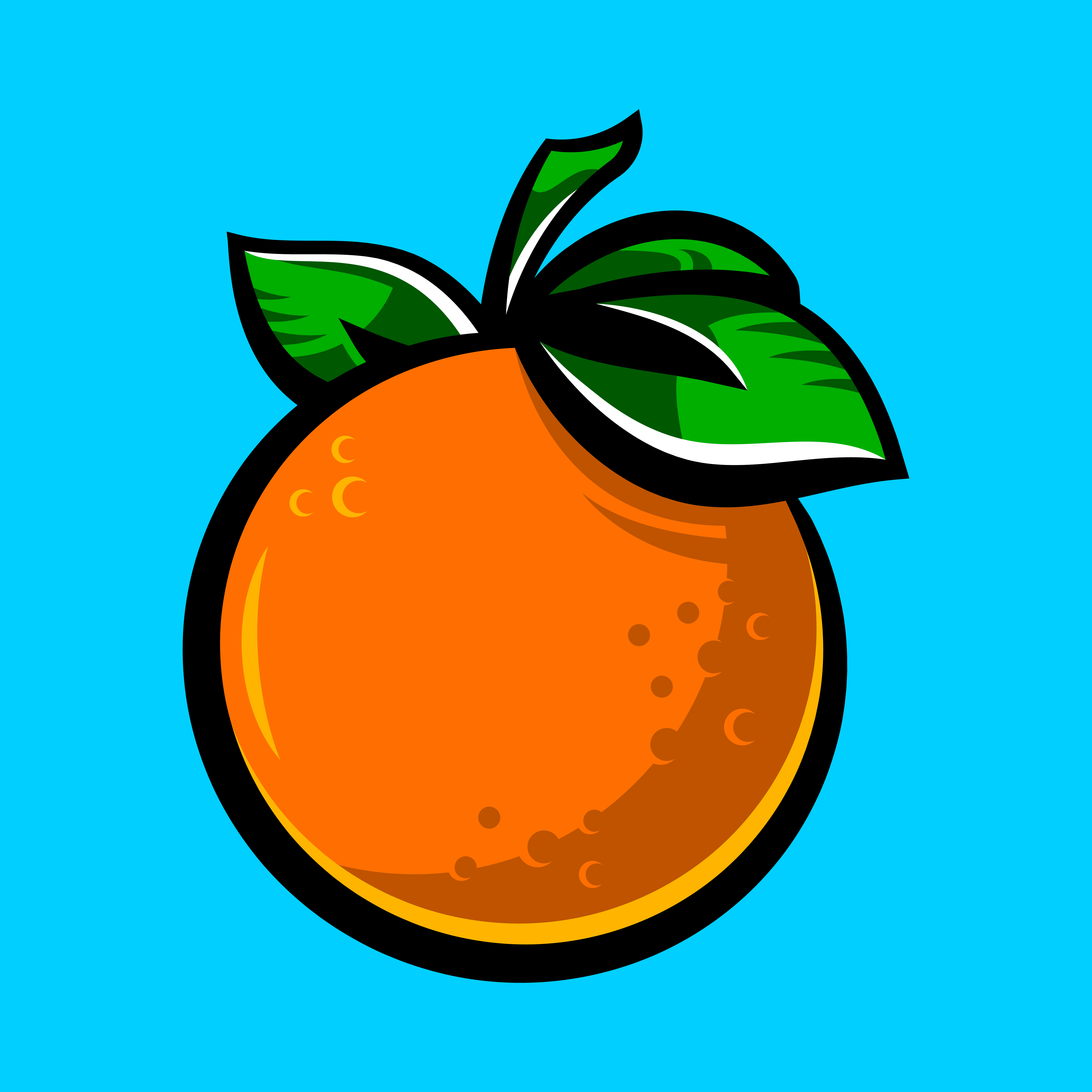  Orange  fruit illustration 553377 Vector  Art  at Vecteezy