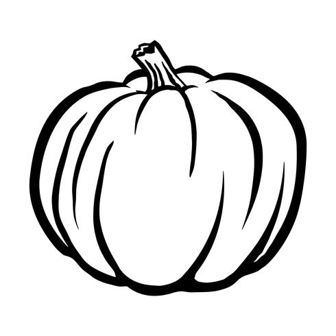 Pumpkin Vector Icon