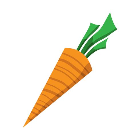 Cartoon Carrot Vegetable vector