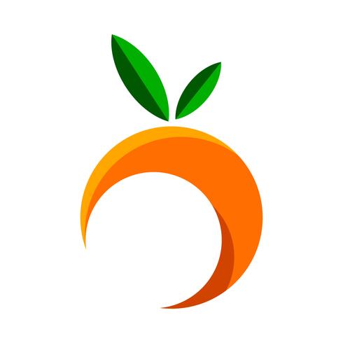 Orange fruit illustration vector