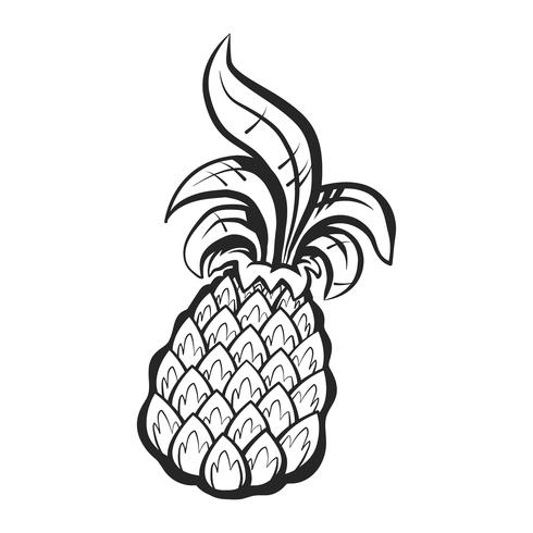 Fruta de piña vector