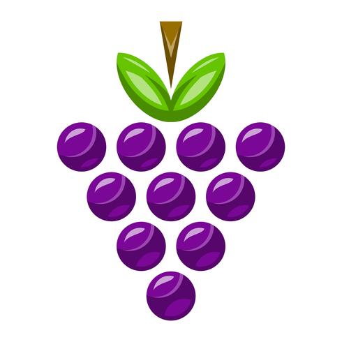 Bunch of Grapes Fruit Food Healthy Snack vector