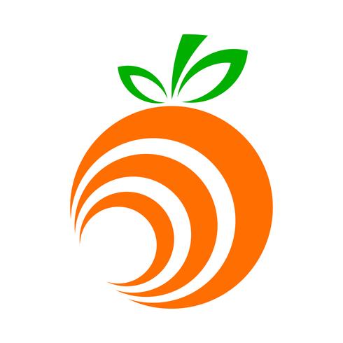 Orange fruit illustration vector