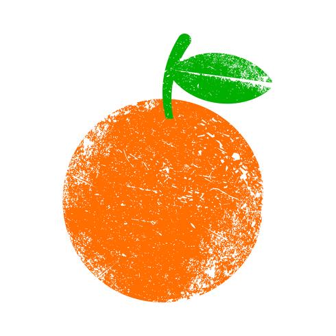 Orange fruit illustration vector