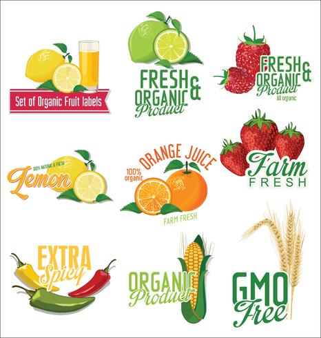 Set of organic fruit and vegetables labels collection vector