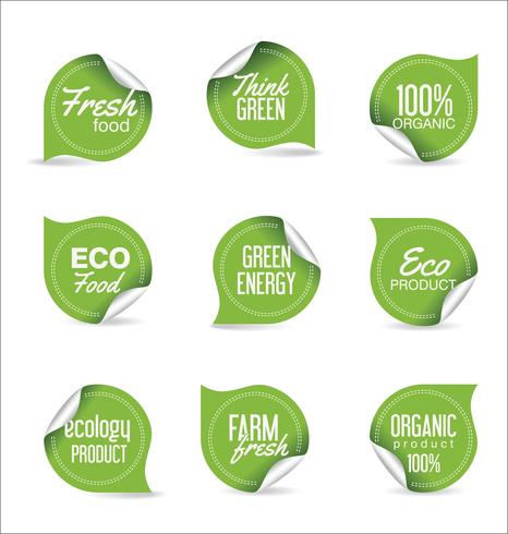 Ecology modern design vector