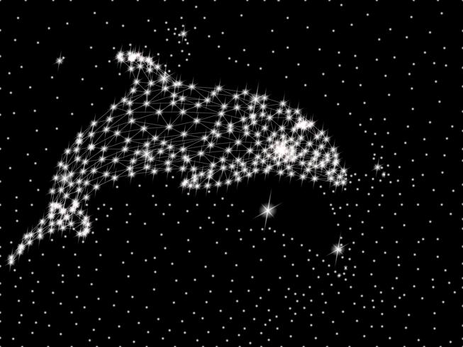 Dolphin polygon art vector