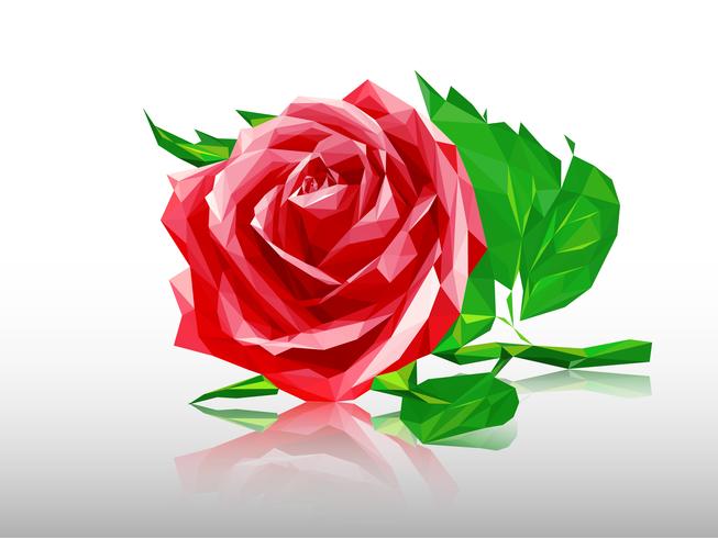 Red polygon rose vector