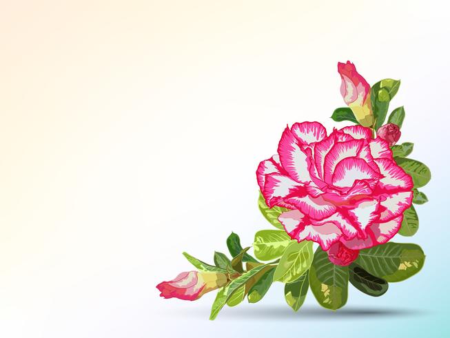 Background and label decorated with desert rose vector