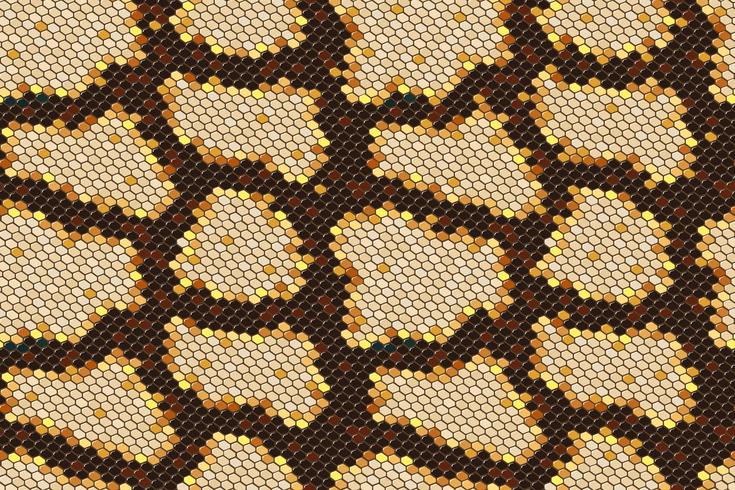 Python skin seamless background on vector graphic art.