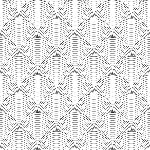 Black and white seamless pattern. vector