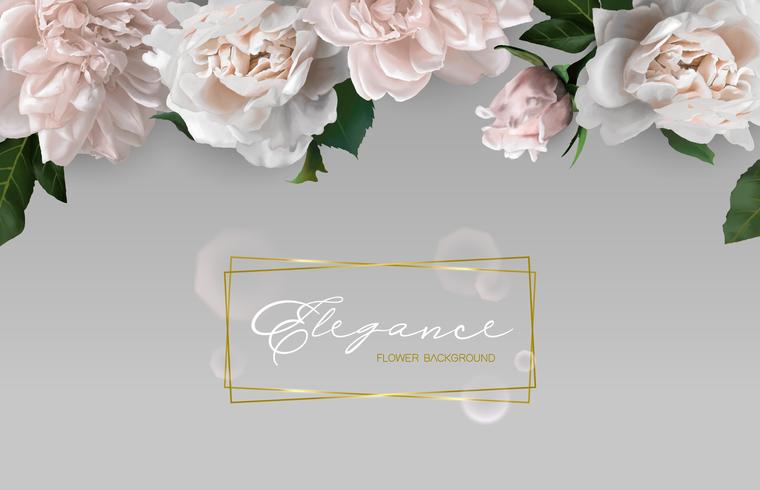 Background with horizontal flower frame. vector