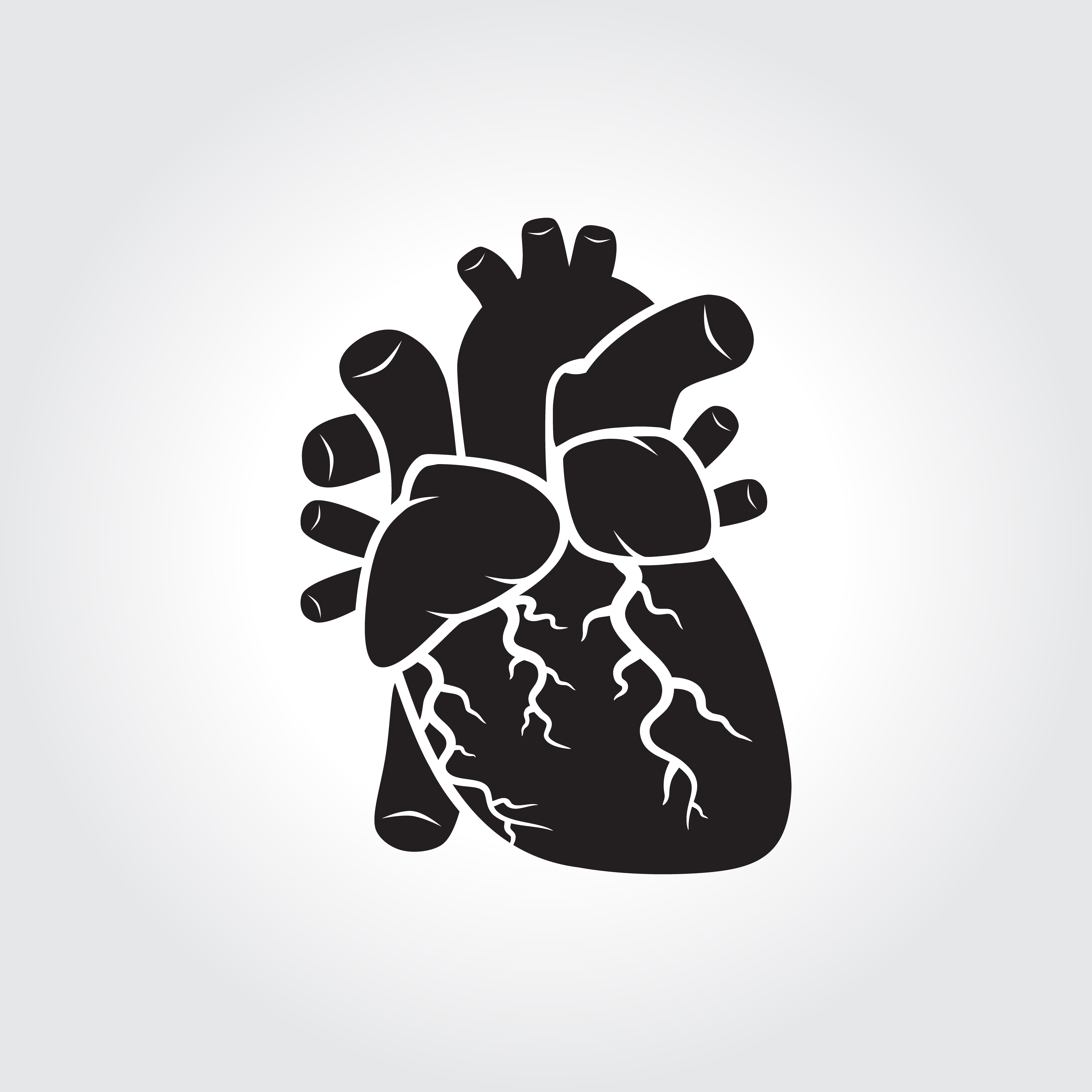 Download Heart anatomy symbol - Download Free Vectors, Clipart ...