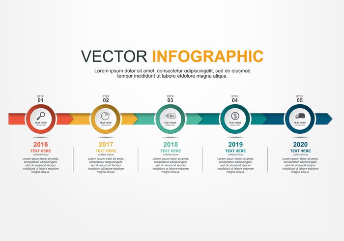 Diseño de elementos infográficos con 5 opciones. vector