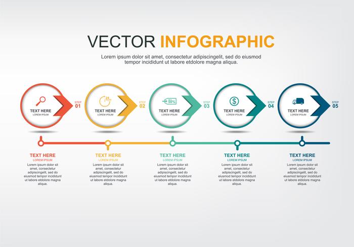 Diseño de elementos infográficos con 5 opciones. vector