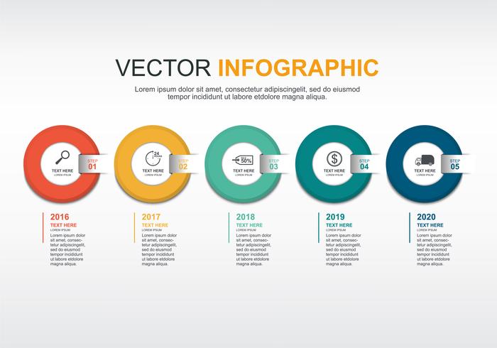 Diseño de elementos infográficos con 5 opciones. vector