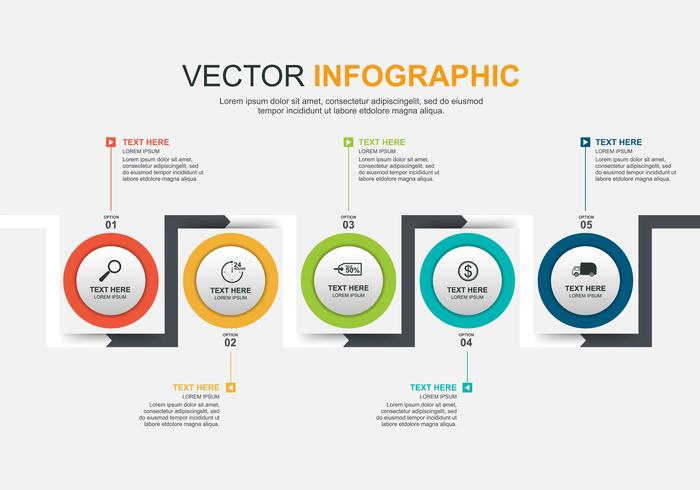 Diseño de elementos infográficos con 5 opciones. vector