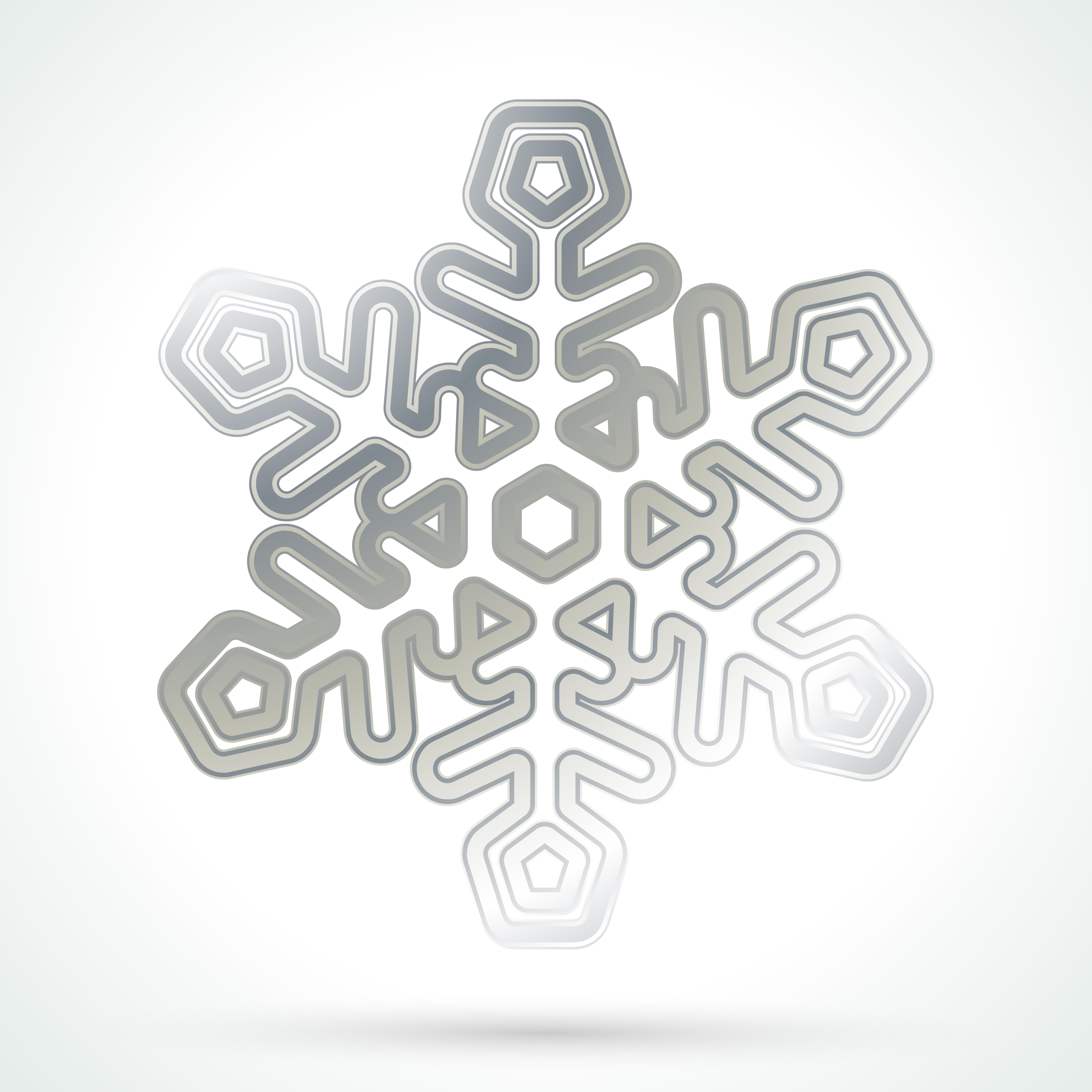silver snow flake silver snow flake