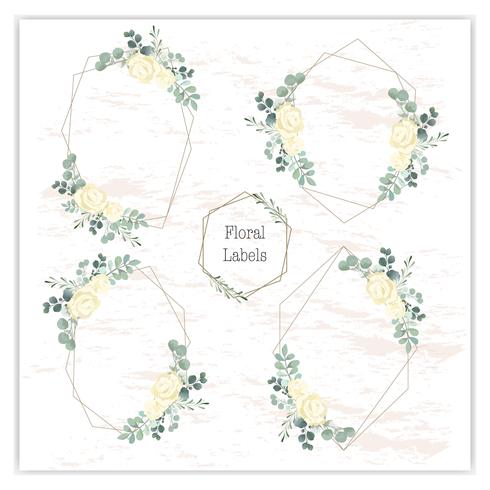 Blank wreath frame with green eucalyptus vector