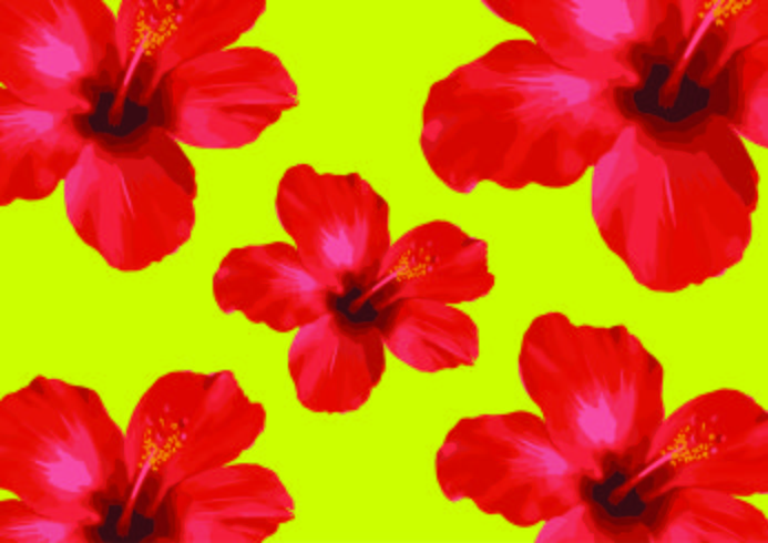 Red Hibiscus flowers,floral vector Illustration on black background.