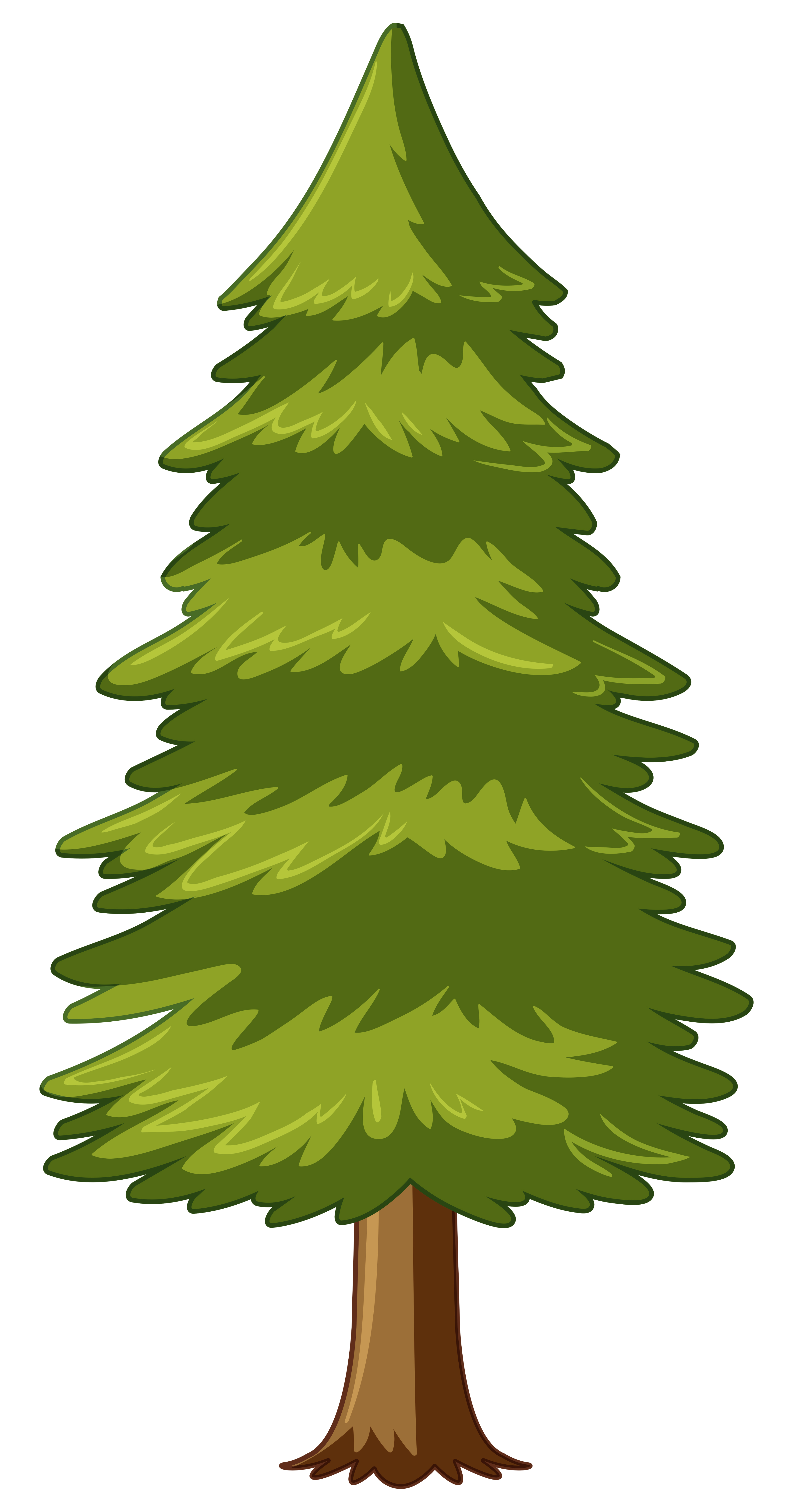 Pine tree on white background - Download Free Vectors, Clipart Graphics