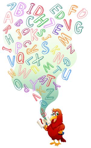 Parrot reading English book vector