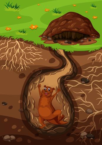 A Happy Otter in the Hole vector