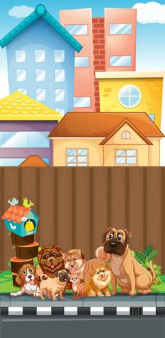 Dogs sitting on the pavement vector