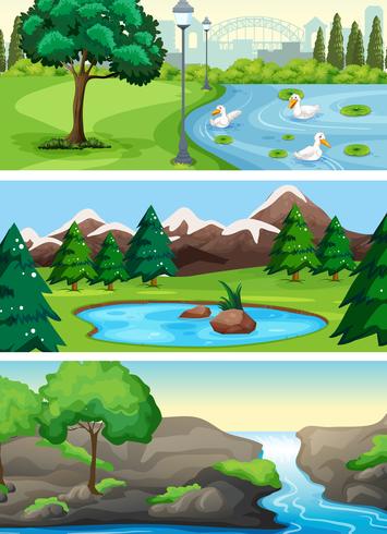 Conjunto de parque natural rural vector