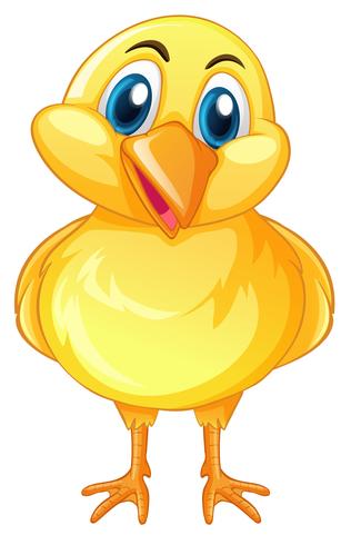 Little chick with happy face vector