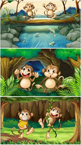 Tres escenas con monos en el bosque. vector