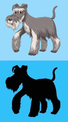 Perro Terrier con pelaje gris. vector