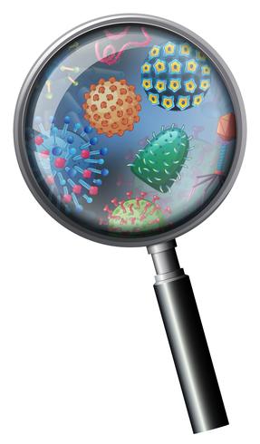 A Closeup Bacteria on Magnifying Glass vector