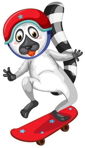 Raccoon playing skateboard character vector