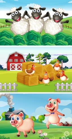 Farm animals living in the farmyard vector