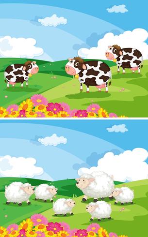 Cows and sheeps in the fields vector