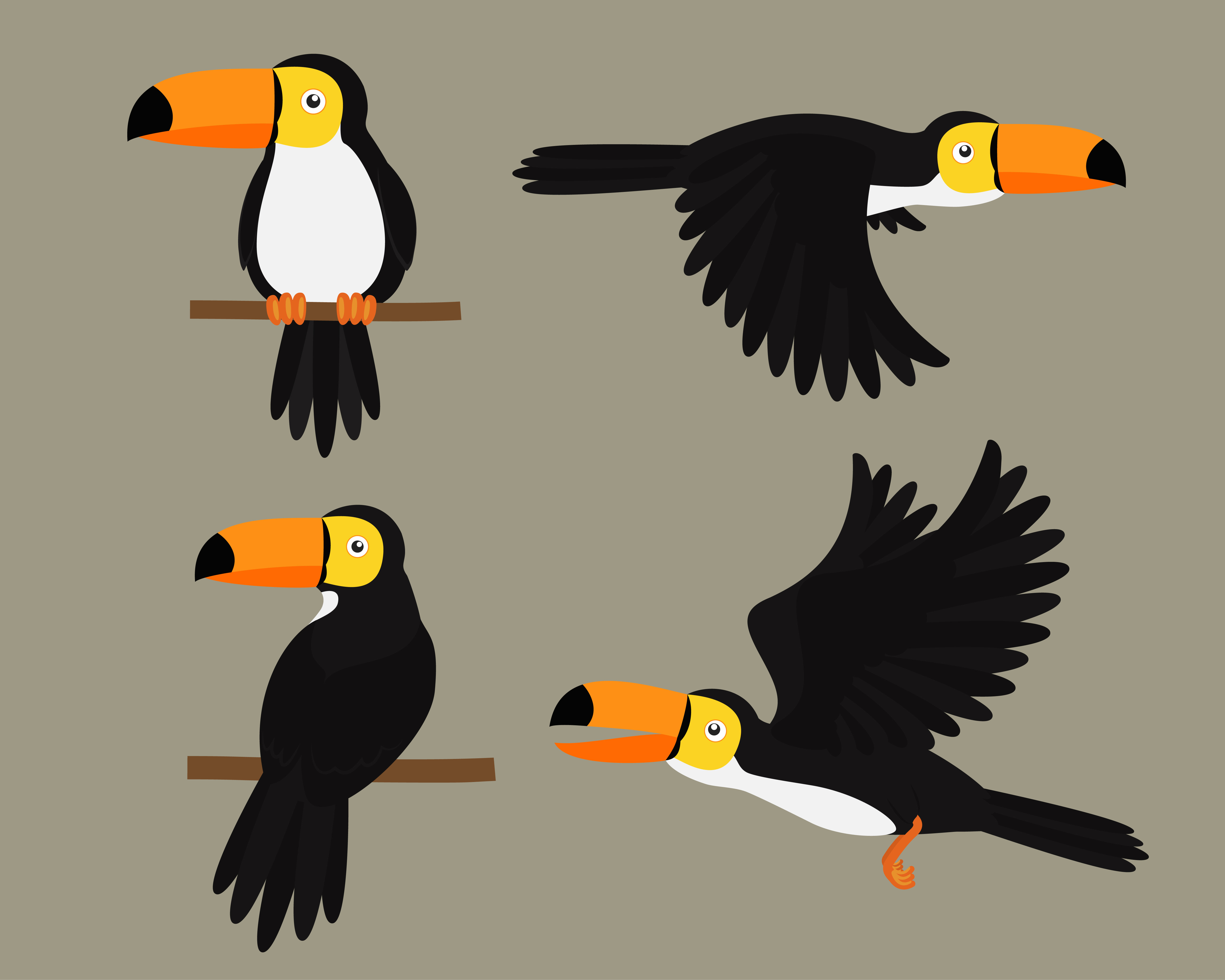 Set of Toucans bird character cartoon - Vector illustration - Download